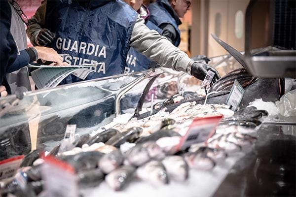 Operazione “Fair Fish Catch”: al via i controlli della Guardia Costiera.